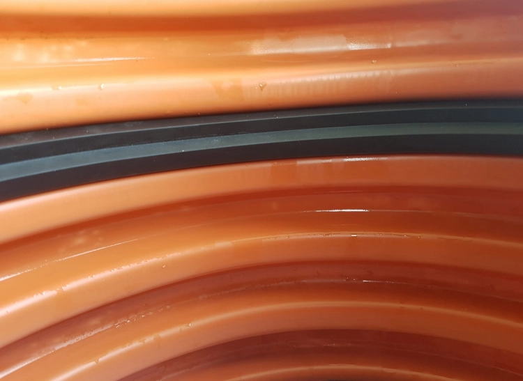 20230619_124556.jpg